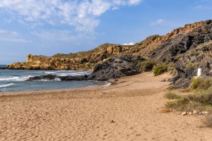 Playa de Percheles 