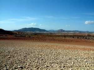 Panormica del Campo de Marchena (Lorca)