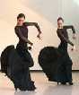 Ballet espaol de Murcia