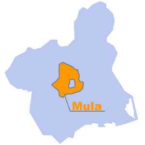 Mapa de situacin de Mula (Abre en ventana nueva)