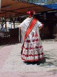 Barraca de la Pea Huertana Palmera-Meln - Bando de la Huerta - Fiestas de Primavera 2004