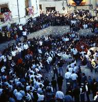 Concurso de Caballos a Pelo (Caballos del Vino - Fiestas de la Stma. y Vera Cruz - Caravaca de la Cruz) 