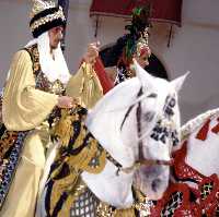 Paradas Desfile (Moros y Cristianos - Fiestas de la Stma. y Vera Cruz - Caravaca de la Cruz) 