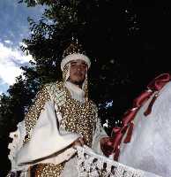 Paradas Desfile (Moros y Cristianos - Fiestas de la Stma. y Vera Cruz - Caravaca de la Cruz) 