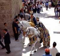 Paradas Desfile (Moros y Cristianos - Fiestas de la Stma. y Vera Cruz - Caravaca de la Cruz) 