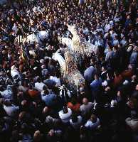 Parlamento entre el Rey Cristiano y el Sultn Moro, Simulacro de Combate, Bao de la Cruz y Bendicin de las Aguas (Moros y Cristianos - Fiestas de la Stma. y Vera Cruz - Caravaca de la Cruz) 