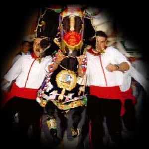 Caballos del Vino - Fiestas de la Santsima y Vera Cruz - Caravaca de la Cruz