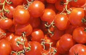 Tomates