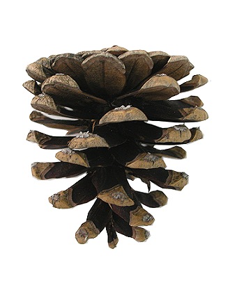 Sierra de Villafuerte