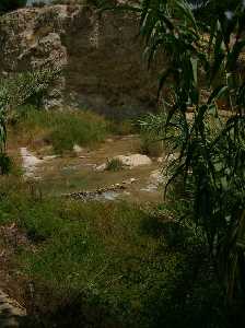 Ro Mula a su paso por el Molino de Abajo, Bullas