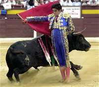 TOROS04