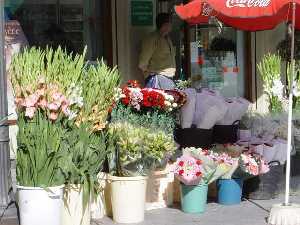 Puesto de Flores ubicado en la Plaza de Las Flores en Murcia