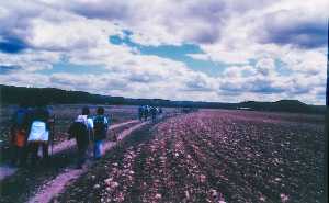 Caminando hacia Alcal� del Jucar