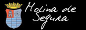 Banner de Molina de Segura