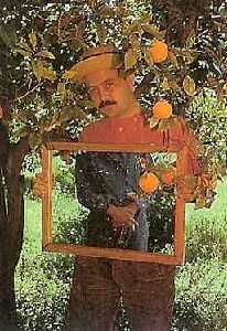 Alfonso Albacete - Alfonso en Puente Tocinos, Murcia