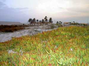 Mar Menor