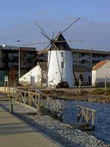 Molino de Quintn en Lo Pagn