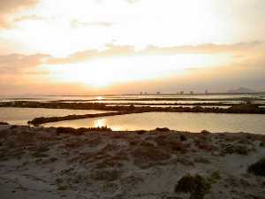 Estanques de las salinas del Mar Menor