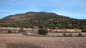 Sierra seca