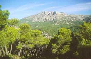 Sierra Espu�a [Codorn�u]
