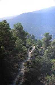 Ruta Cerro de San Jorge