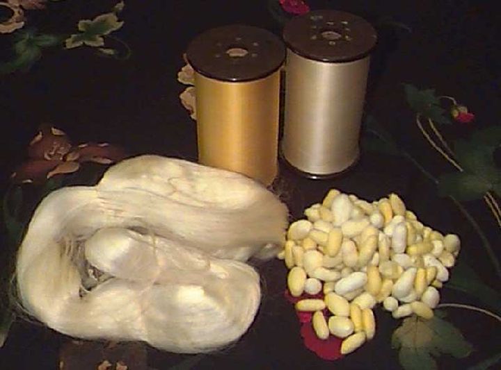 La Seda Región de Murcia Digital