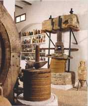 Museo Juan Carcel�n