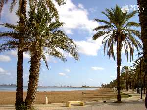 Playa del Mar Menor