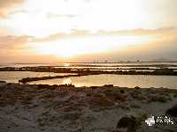 Salinas de San Pedro del Pinatar