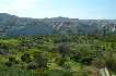 Paisaje de la Huerta de Campos del Ro - Regin de Murcia Digital
