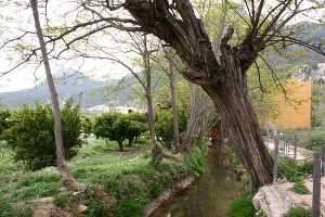 Acequia del molino 