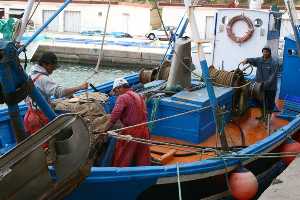 Pescadores faenando en el puerto 