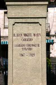 Detalle del busto [Totana_Personajes_Miguel Marn]