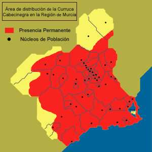 Áreas de distribución de la curruca cabecinegra (Sylvia melanocephala) en la Región de Murcia.