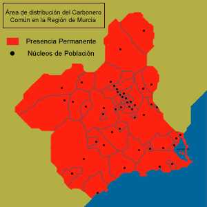 Áreas de distribución del Carbonero común (Parus major) en la Región de Murcia.