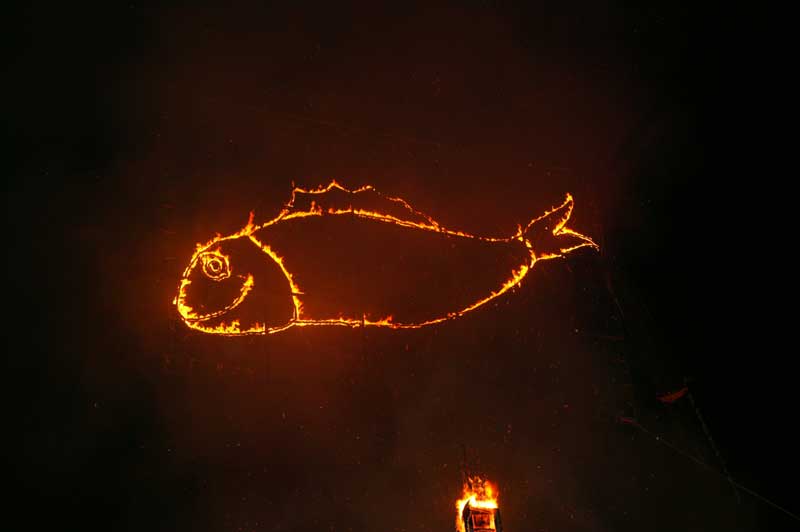 Quema de la sardina 2005