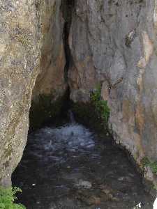 Fuente de Las Tosquillas (Caneja) 