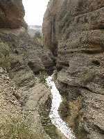 Can del ro Chcamo