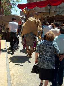 De paseo por el mercado medieval 