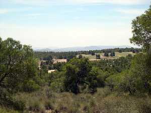 Vista desde el Yacimiento [Morra del Moro]