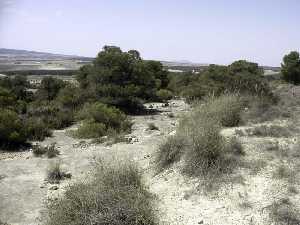 Vista de la plataforma rocosa