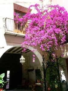 Patio de la Casa Cabrera (Abanilla) [Casa Cabrera de Abanilla]