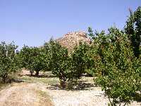 Vista del Cerro de la Cobertera de Abarn 