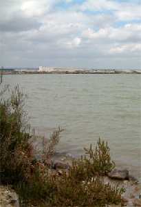 Parque Regional de las Salinas y Arenales de San Pedro del Pinatar