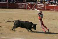  Corrida de Toros 