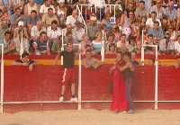 Plaza de toros de Pliego 