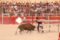 Vaquilla y j�venes del pueblo 