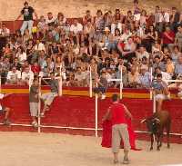 Vaquillas en las fiestas 