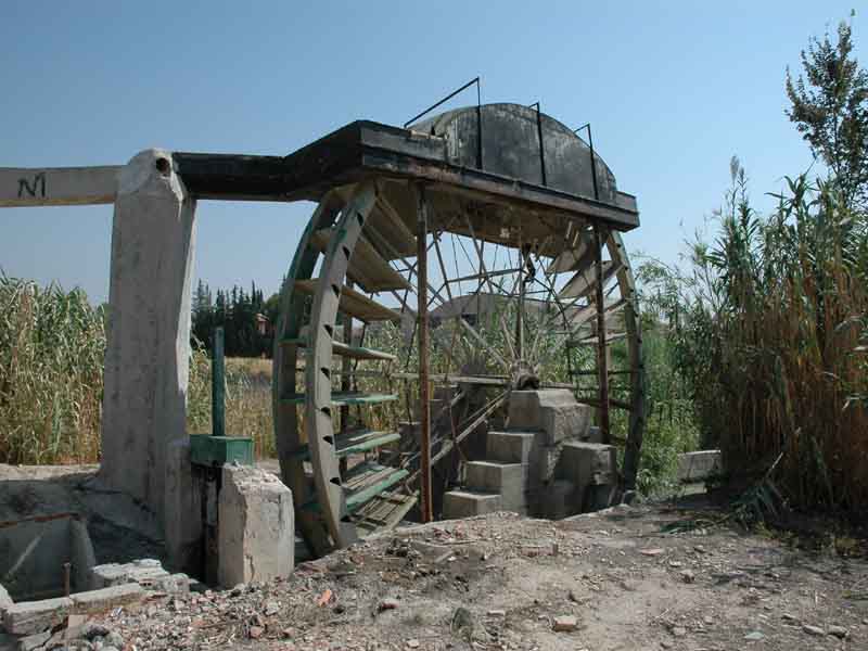 Noria de El Llano (Molina de Segura) [Molina de Segura_Museo Etnogrfico Carlos Soriano]. 