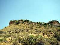 Cima del Cerro de la Mota 